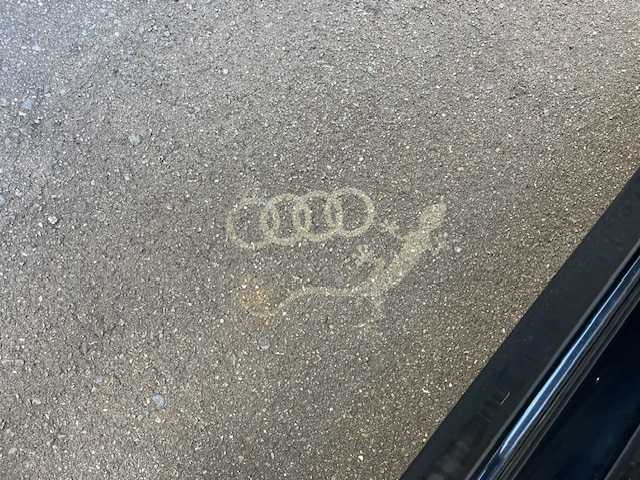 アウディ Ａ６ 2．0 TFSI クワトロSライン 青森県 2016(平28)年 7.7万km ミトスブラックメタリック ４WD/純正ナビ/バックカメラ/黒本革シート/D/N席パワーシート/D/N席シートヒーター/MTモード/パーキングセンサー/クルーズコントロール/スマートキー/LEDヘッドライト/19インチ純正アルミホイール/保証書/取扱説明書