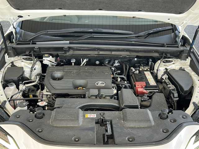 レクサス ＮＸ 250 バージョンL 岐阜県 2023(令5)年 2万km ソニッククォーツ ワンオーナー/サンルーフ/メーカーオプションナビ/フルセグTV/AM/FM/BT/USB/ブラインドスポットモニター/デジタルインナーミラー/アダプティブクルーズコントロール/ETC2.0/前後ドラレコ/バックカメラ(全周囲)/パドルシフト/ステアリング電動チルト/ステアリングヒーター/シートヒーター(全席)/シートクーラー(前席)/パワーシート/シートメモリー/パワーバックドア/プリクラッシュセーフティー/レーンディパーチャーアラート/ロードサインアシスト/フロント/リヤクロストラフィックアラート/レーンチェンジアシスト/プロアクティブドライビングアシスト/パーキングサポートブレーキ/クリアランスソナー/安心降車アシスト/リアカメラディテクション/横滑り防止装置/アイドリングストップ/オートライト/オートハイビーム/電動格納ミラー/スマートキー/プッシュスタート/革巻きステアリング/ECO/SPORTモード