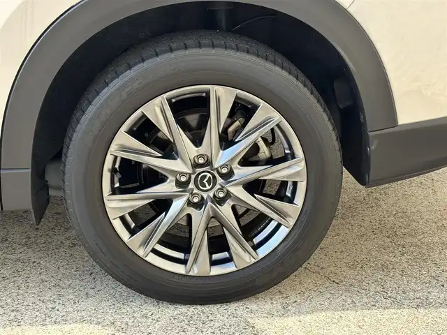 マツダ ＣＸ－８ 25S Lパッケージ 長崎県 2021(令3)年 2.5万km プラチナクォーツメタリック 純正ディスプレイオーディオ/全方位カメラ/衝突軽減システム/BOSEサウンドシステム/レーンアシスト/ブラインドスポットモニター/レーダークルーズ/ETC/レザーシート/パワーシート/シートヒーター/エアシート/ヘッドアップディスプレイ/ステアリングスイッチ/置くだけ充電/オートライト/ルーフレール/純正19インチAW