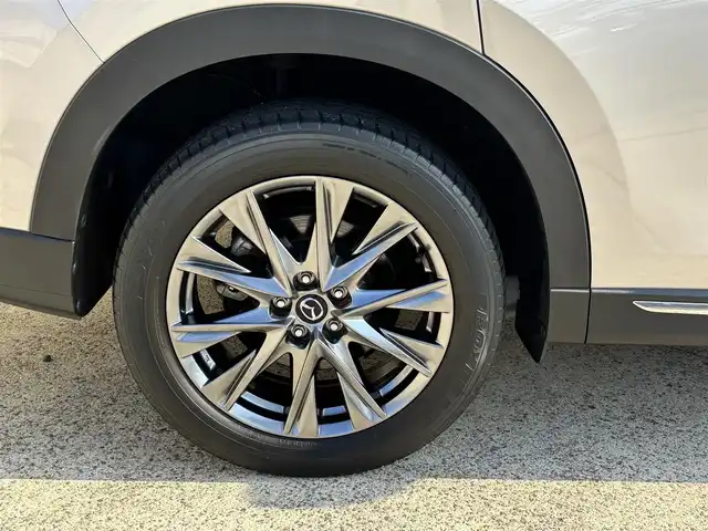 マツダ ＣＸ－８ 25S Lパッケージ 長崎県 2021(令3)年 2.5万km プラチナクォーツメタリック 純正ディスプレイオーディオ/全方位カメラ/衝突軽減システム/BOSEサウンドシステム/レーンアシスト/ブラインドスポットモニター/レーダークルーズ/ETC/レザーシート/パワーシート/シートヒーター/エアシート/ヘッドアップディスプレイ/ステアリングスイッチ/置くだけ充電/オートライト/ルーフレール/純正19インチAW