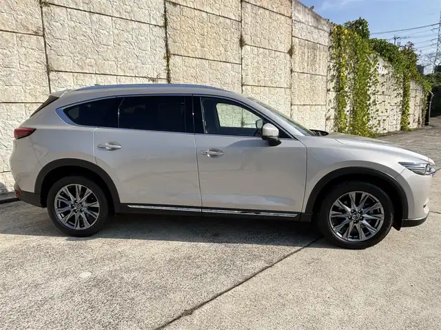 マツダ ＣＸ－８ 25S Lパッケージ 長崎県 2021(令3)年 2.5万km プラチナクォーツメタリック 純正ディスプレイオーディオ/全方位カメラ/衝突軽減システム/BOSEサウンドシステム/レーンアシスト/ブラインドスポットモニター/レーダークルーズ/ETC/レザーシート/パワーシート/シートヒーター/エアシート/ヘッドアップディスプレイ/ステアリングスイッチ/置くだけ充電/オートライト/ルーフレール/純正19インチAW