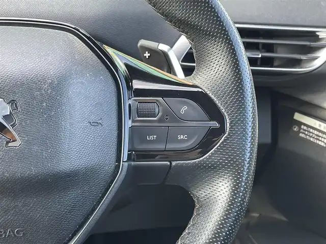 プジョー ３００８ GT ブルー HDi 宮崎県 2019(令1)年 6.5万km BLANC NACRE 純正ディスプレイオーディオ/USB/ETC/バックカメラ/サイドカメラ/クルーズコントロール/レーンキープアシスト/ブラインドスポットモニター/ステアリングスイッチ/トノカバー/パドルシフト/LEDヘッドライト