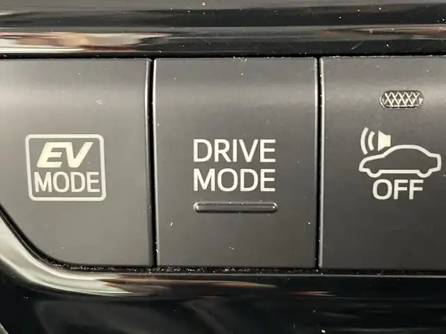 トヨタ プリウス Sツーリングセレクション 鹿児島県 2019(平31)年 4万km 青 純正9インチ純正ナビ/(フルセグ/CD/DVD/Bluetooth)/前席シートヒーター/レーダークルーズコントロール/バックカメラ/衝突被害軽減システム/レーンキープアシスト/LEDヘッドライト/フォグランプ/革巻きステアリング/ステアリングスイッチ/ETC/前方ドライブレコーダー/純正フロアマット/スマートキー/プッシュスタート/純正17インチアルミホイール