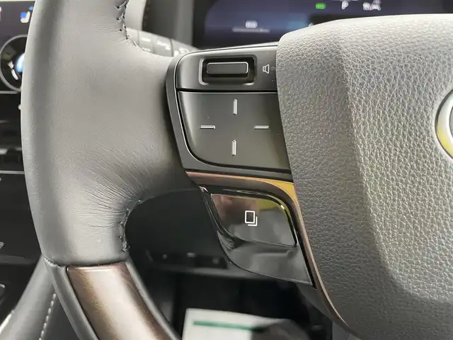 トヨタ アルファード Z 石川県 2024(令6)年 0.2万km 黒 ワンオーナー/メーカー純正ナビ/フルセグTV/HDMI/Bluetooth/全方位モニター/フリップダウンモニター/デジタルインナーミラー/左右独立ムーンルーフ/パーキングアシスト/電動リアゲート/両側電動スライドドア/ETC2.0/ワイヤレス充電/パワーバックドア/BSM/LEDオートライト/シートヒーター /ベンチレーション/ダブルサイドステップ