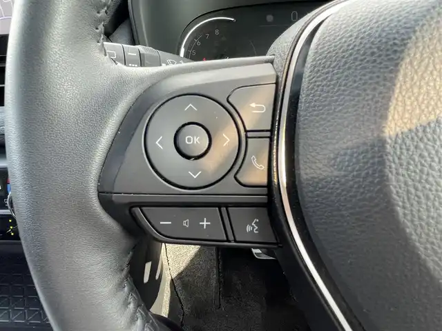 ミツオカ バディ 20LX 滋賀県 2022(令4)年 2.8万km パール 純正ディスプレイオーディオ/(Bluetooth/Carplay）/サンルーフ/トヨタセーフティーセンス/・プリクラッシュセーフティ/・レーダークルーズコントロール/・レーンキープアシスト/・標識認識/・オートハイビーム/LEDオートライト/フォグ/ブラインドスポットモニター/パノラミックビューモニター/レザーシート/メモリ付きパワーシート/シートヒーター/シートクーラー/ステアリングヒーター/パドルシフト/電動リアゲート/電動パーキング/ブレーキホールド/コーナーセンサー/電動格納ミラー/前後ドラレコ/デジタルインナーミラー/ETC2.0/USB/DEENアルミ車載（スタッドレスタイヤ）