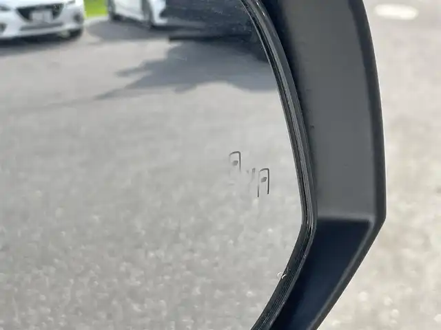 ミツオカ バディ 20LX 滋賀県 2022(令4)年 2.8万km パール 純正ディスプレイオーディオ/(Bluetooth/Carplay）/サンルーフ/トヨタセーフティーセンス/・プリクラッシュセーフティ/・レーダークルーズコントロール/・レーンキープアシスト/・標識認識/・オートハイビーム/LEDオートライト/フォグ/ブラインドスポットモニター/パノラミックビューモニター/レザーシート/メモリ付きパワーシート/シートヒーター/シートクーラー/ステアリングヒーター/パドルシフト/電動リアゲート/電動パーキング/ブレーキホールド/コーナーセンサー/電動格納ミラー/前後ドラレコ/デジタルインナーミラー/ETC2.0/USB/DEENアルミ車載（スタッドレスタイヤ）