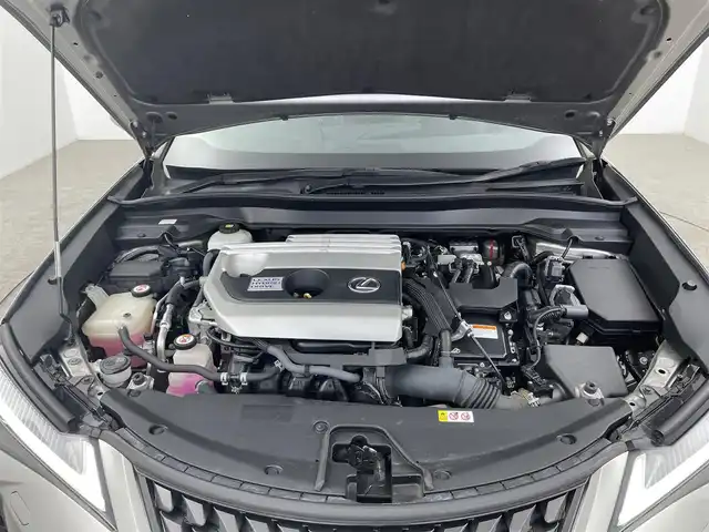レクサス ＵＸ 250h バージョンL 大分県 2019(令1)年 6.6万km ソニックチタニウム ワンオーナー/レクサスセーフティシステム/・プリクラッシュセーフティ/・レーダークルーズコントロール/・オートハイビーム/・ブラインドスポットモニター/・レーンディパーチャアシスト（操舵支援有）/4WD/純正ナビ/(Bluetooth/CD/DVD/フルセグ/ラジオ）/前後ドライブレコーダー/全方位カメラ/レザーシート/前席パワーシート/シートヒーター/ベンチレーションシート/パワーバックドア/ビルトインETC２．０/オートブレーキホールド/電動パーキングブレーキ/電動チルトテレスコピックステアリング/保証書/取扱説明書