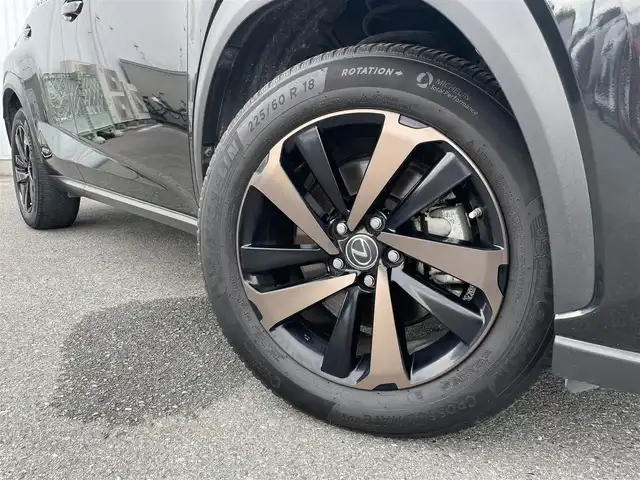 レクサス ＮＸ 300h バージョンL 福岡県 2017(平29)年 6.5万km グラファイトブラックガラスフレーク メーカーナビ/フルセグTV/CD/DVD/BT/SD/AUX/Miracast/バック/サイドカメラ/ＰＣＳ/ＬＤＡ/BSM/クリアランスソナー/赤レザー/ハンズフリーパワーバックドア/全席シートヒーター/前席エアシート/全席パワーシート/D席シートメモリー/ハンドルヒーター/レーダークルーズコントロール/LEDオートライト/オートハイビーム/フォグランプ/革巻きステアリング/パドルシフト/ビルトインETC2.0/AC100V/電動パーキング/ブレーキホールド/スマートキー/プッシュスタート