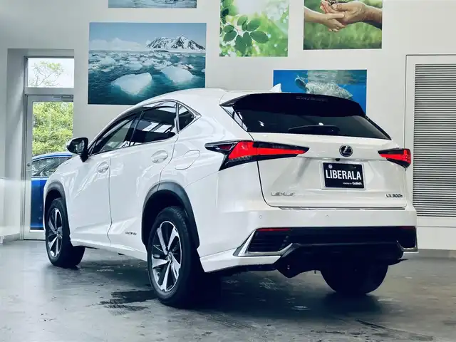 レクサス ＮＸ 300h バージョンL 大阪府 2020(令2)年 3.6万km ソニッククォーツ ワンオーナー/赤革/パワーシート/Dシートメモリ/エアシートヒーター/ステアリングヒーター/HUD/ACC/純正ナビ/TV/360度カメラ/純正18インチAW/電動リアゲート/ブラインドスポット/ETC/ドラレコ/レーダー探知機