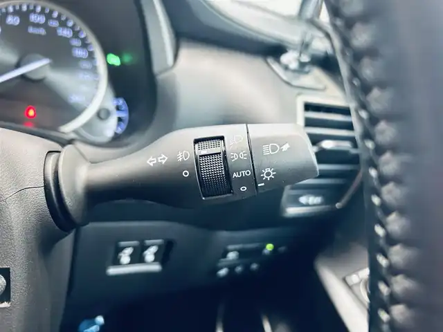 レクサス ＮＸ 300h バージョンL 大阪府 2020(令2)年 3.6万km ソニッククォーツ ワンオーナー/赤革/パワーシート/Dシートメモリ/エアシートヒーター/ステアリングヒーター/HUD/ACC/純正ナビ/TV/360度カメラ/純正18インチAW/電動リアゲート/ブラインドスポット/ETC/ドラレコ/レーダー探知機