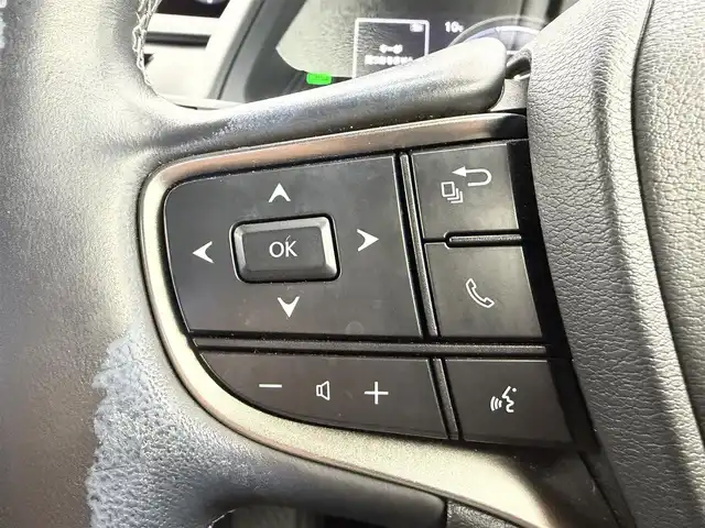 レクサス ＵＸ 250h バージョンC 愛知県 2021(令3)年 4.9万km ソニッククォーツ 純正12.3インチンナビ/アラウンドビューモニター/フルセグTV/レクサスセーフティシステム/クルーズコントロール/衝突被害軽減システム/ブラインドスポットモニター/横滑り防止装置/コーナーセンサー/レーンキープアシスト/オートライト/オートマチックハイビーム/LEDヘッドライト/LEDフォグランプ/パワーシート/シートヒーター/ステアリングヒーター/電動リアゲート/ヘッドアップディスプレイ/パドルシフト/前後ドライブレコーダー/ETC2.0/純正AW/純正フロアマット/プッシュスタート/スマートキー/スペアキー