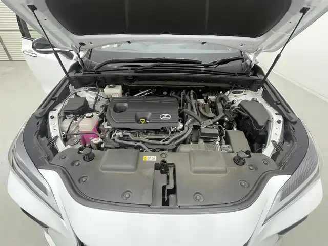 レクサス ＮＸ 350h Fスポーツ 茨城県 2023(令5)年 1.6万km ホワイトノーヴァガラスフレーク 純正ナビ/フルセグ視聴可/クルコン/全方位カメラ/MT付AT/DVD再生可/ETC2.0/ドラレコ/100V充電/Bluetooth接続/USB入力端子/電動リアゲート/パワーシート（D＋N席）/シートヒーター（D＋N席）/エアシート（D＋N席）/純正20インチAW/オートマチックハイビーム/LEDライト