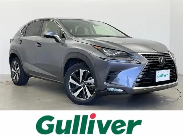 レクサス ＮＸ 300 バージョンL 富山県 2021(令3)年 4.6万km マーキュリーグレーマイカ 純正10.3型ナビ/（AM/FM/CD/DVD/SD/AUX/USB/BT）/フルセグTV/プレミアムサウンド/アラウンドビューモニター/衝突被害軽減ブレーキ/レーンキープアシスト/クリアランスソナー/ブラインドスポットモニター/オートマチックハイビーム/三眼LEDヘッドライト/シーケンシャルウインカー/純正１８インチオプションホイール/電動リアゲート（ハンズフリー機能）/レザーシート/前席パワーシート/前席温熱＋ベンチレーションシート/ステアリングヒーター/ドライブレコーダー/ビルトインETC2.0/AC100V充電/スマートキー×２/プッシュスタート/純正フロアマット/アイドリングストップ/取扱説明書/保証書