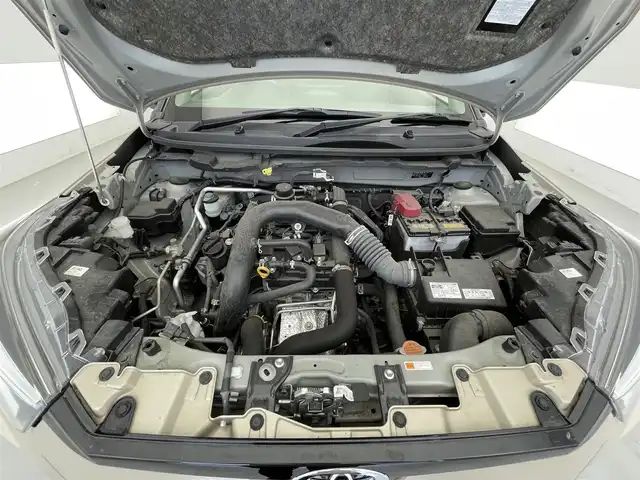 トヨタ ライズ Z 滋賀県 2021(令3)年 8.8万km ナチュラルベージュマイカM 禁煙車/純正９型ディスプレイオーディオ/【Bluetooth/フルセグTV/CD/DVD】/パノラミックビューモニター/ビルトインＥＴＣ/スマートアシスト/・衝突回避支援ブレーキ機能/・車線逸脱抑制制御機能/・ブレーキ制御付誤発進抑制機能/・アダプティブドライビングビーム/・先行車発進お知らせ機能/・進入禁止標識認識機能/・アダプティブクルーズコントロール/・衝突警報機能/・車線逸脱警報機能/・コーナーセンサー/・サイドビューランプ/・レーンキープコントロール/シートヒーター/ＬＥＤシーケンシャルターンランプ/ステアリングスイッチ/スマートキー