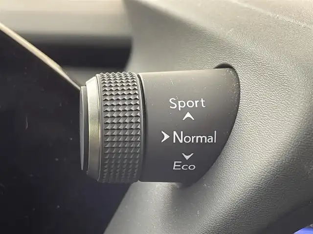 レクサス ＵＸ 250h グレイスフル エクスプローラー 熊本県 2023(令5)年 1万km テレーンカーキマイカM 純正SDナビ/・フルセグTV/BT/FM/AM/全方位カメラ/レクサスセーフティシステム/・衝突軽減ブレーキ/・レーントレーシングアシスト/・ブラインドスポットモニター/・パーキングサポートブレーキ/・クリアランスソナー/・レーダークルーズコントロール/・オートマチックハイビーム/パワーバックドア/ビルトインETC2.0/前後ドライブレコーダー/パドルシフト/ステアリングヒーター/革シート/・D/Nパワーシート/・D/Nシートヒーター/・D/Nシートクーラー/電動パーキング/オートホールド/スマートキー/スペアキー