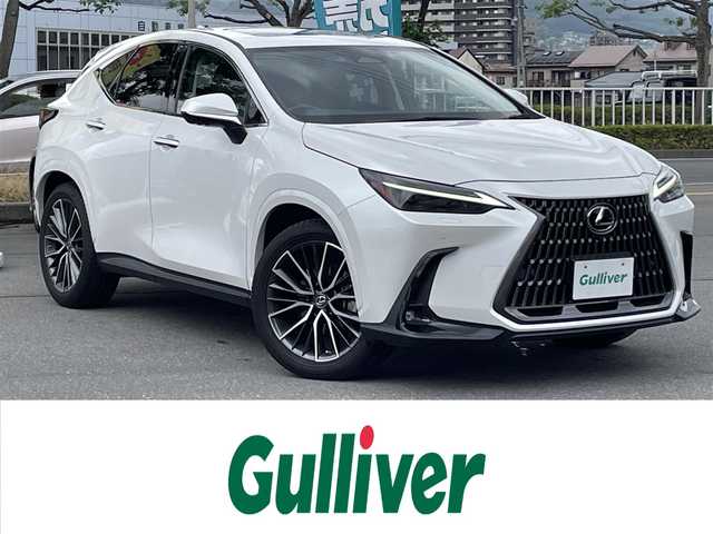 レクサス ＮＸ 250 バージョンL 長野県 2023(令5)年 1.3万km ソニッククォーツ 純正ナビ（FM/AM、USB、BT）/バック、全方位カメラ/フルセグテレビ/クルーズコントロール追従有/アイドリングストップ/前席シートヒーター/全席シートヒーター/ステアリングヒーター/ETC2.0/社外前後ドライブレコーダー/レーンキープアシスト/デジタルインナーミラー/前後コーナーセンサー/メモリシート/置くだけ充電/衝突軽減システム/電動リアゲート/サンルーフ/ダブルサイドエアバック/カーテンエアバック/LEDオートライト/横滑り防止装置/純正20AW/革ステアリング/スマートキー（２本）/ワンオーナー/保証書、取扱説明書