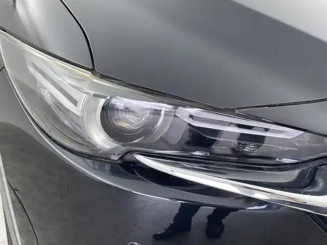 マツダ ＣＸ－８ XD Lパッケージ 群馬県 2018(平30)年 3.2万km ジェットブラックマイカ マツダコネクトナビ　３６０度モニター　レーダークルーズコントロール　シートヒーター　パワーシート　純正１９インチＡＷ　ステアリングリモコン　ステアリングヒーター　ドラレコ　ＥＴＣ　スマートキー　禁煙車