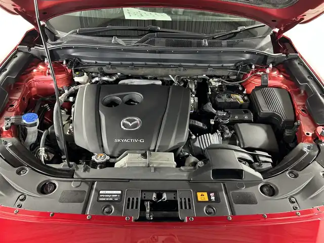 マツダ ＣＸ－５ 25S スポーツアピアランス 佐賀県 2023(令5)年 1万km ソウルレッドクリスタルM 純正10.25インチナビ/フルセグTV/CD/DVD/Bluetooth/全方位バックカメラ/衝突被害軽減システム/ブラインドスポットモニター/へドアップディスプレイ/レーダークルーズコントロール/オートライト/オートマチックハイビーム/レーンアシスト/LEDヘッドライト/クリアランスソナー/前後ドライブレコーダー/ETC/パドルシフト/パワーバックドア/レザーシート/運転席・助手席シートヒーター/運転席・助手席パワーシート/ISOFIX対応シート/純正19インチアルミホイール/スマートキー/スペアキー×１