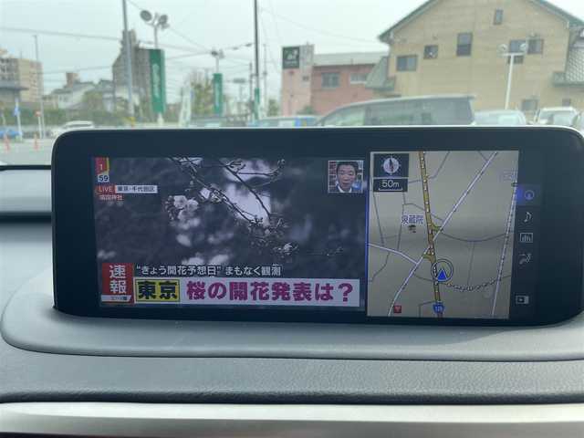 レクサス ＲＸ 300 Fスポーツ 神奈川県 2021(令3)年 1.7万km ホワイトノーヴァガラスフレーク ワンオーナー/赤革シート/パノラマルーフ（チルト＆アウタースライド式）/純正ナビ１２．３インチタッチワイドデイスプレイ/(AM/FM/CD/BT/USB/DTV/Miracast)/パノラミックビューモニター/アイドリングストップ/レクサスセーフティシステム+/・プリクラッシュセーフティ/・レーンチェンジアシスト/・レーントレーシングアシスト/・レーンディパーチャアラート/・レーダークルーズコントロール/・ブレードスキャンアダプティブハイビームシステム/・ロードサインアシスト/・先行車発進告知機能/プッシュスタート/パドルシフト/前後ドライブレコーダー/ヘッドアップディスプレイ/全席シートヒーター/D席/N席エアーシート/D席/N席電動パワーシート/パワーバックドア/ETC2.0ビルトイン/20インチ純正アルミホイール/LEDヘッドライト/スマートキー×2/カードキー×1/新車時手帳/取扱説明書