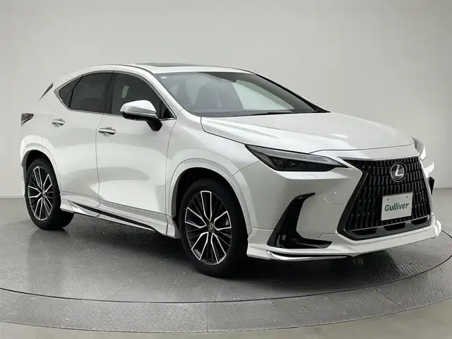 レクサス,NX,250,純正DA SR 全方位 LSS モデリスタ デジミラ