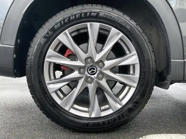 マツダ ＣＸ－８ 25T プロアクティブ 静岡県 2018(平30)年 5万km マシーングレープレミアムM i-ACTIVSENSE/純正SDナビ/　AM FM CD DVD Bluetooth AUX USB/フルセグTV/前方ドライブレコーダー/LEDオートヘッドランプ/レーダークルーズコントロール/シートヒーター(前席)/ヘッドアップディスプレイ/前後方クリアランスソナー/純正19インチアルミホイール/スマートキー2本/アラウンドビューモニター/ETC/メモリー付きパワーシート(運転席)