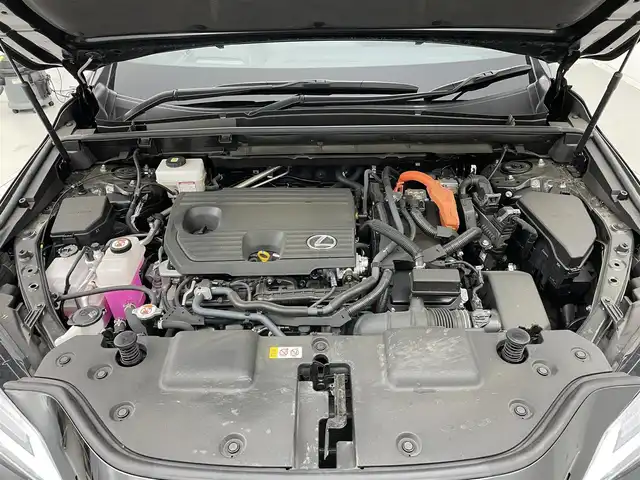 レクサス ＮＸ 350h Fスポーツ 茨城県 2023(令5)年 1.9万km グラファイトブラックガラスフレーク 14インチ純正ナビ付ディスプレイオーディオ/・FM/AM/Bluetooth/Miracast/USB/・フルセグTV/・Apple CarPlay/Android Auto/・全方位カメラ/・オーディオ（マークレビンソン）/禁煙車/BSM/レザーシート/・シートヒーター（D+N席）/・エアシート（D+N席）/前後コーナーセンサー/ビルドインETC2.0/Advanced　Park/パドルシフト/追従型クルーズコントロール/トレイルモード/サンルーフ/電動リアゲート/純正アルミホイール/純正フロアマット/横滑り防止機能/レーンキープアシスト/衝突被害軽減ブレーキ/カーテンエアバッグ/W+サイドエアバッグ/三眼LEDヘッドライト/AAC/オートライト/オートマチックハイビーム/スペアキー