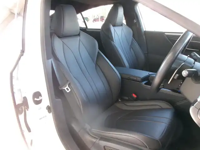 レクサス ＥＳ 300h Fスポーツ 群馬県 2019(令1)年 1.6万km ホワイトノーヴァガラスフレーク Lexus Safety System+/ブラインドスポットモニター/ムーンルーフ/レザーシート/ベンチレーター＆シートヒーター/ステアリングヒーター/純正12.3インチナビ・フルセグTV/バックモニター/ビルトインETC2.0/リヤサンシェード/パワートランクリッド/スペアキー×2＆カードキー/R2.4.6.7年記録簿/保証書＆取説