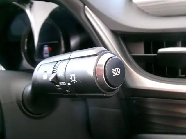 レクサス ＥＳ 300h Fスポーツ 群馬県 2019(令1)年 1.6万km ホワイトノーヴァガラスフレーク Lexus Safety System+/ブラインドスポットモニター/ムーンルーフ/レザーシート/ベンチレーター＆シートヒーター/ステアリングヒーター/純正12.3インチナビ・フルセグTV/バックモニター/ビルトインETC2.0/リヤサンシェード/パワートランクリッド/スペアキー×2＆カードキー/R2.4.6.7年記録簿/保証書＆取説