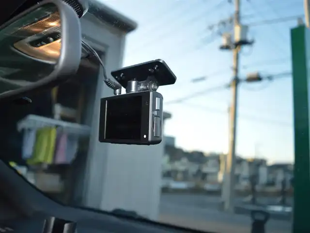 ホンダ Ｓ６６０ α 特別仕様車ブルーノレザーED 栃木県 2017(平29)年 7.9万km ベルベットマルーンメタリック ディーラー点検記録簿/[H30.R1.2.4.6]/安全装備/[VSA/ABS/TRC/リアカメラシステム/クルーズコントロール]/純正オーディオ/[AM/FM/BT/HDMI/USB]/オートライト/2眼LEDヘッドライト/BLITZ製　FLD　METER/BLITZ製　車高調/ロールトップ/リアウィング/ドライブレコーダー[前]/ETC/プッシュスタート/純正マット/wedsSport 16インチアルミホイール/GReddy製　マフラー×2/スマートスペアキー×1/取扱説明書/保証書