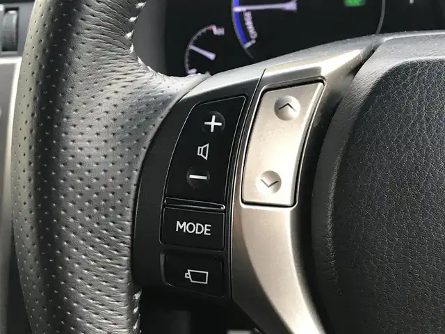 レクサス ＲＸ 450h Fスポーツ 富山県 2014(平26)年 4.8万km ブラック サンルーフ/RAYSアルミホイール/純正ナビ/フルセグTV/Bluetooth/バックカメラ/コーナーセンサー/レーダークルーズコントロール/レザーシート/パワーシート/シートヒーター/プッシュスタート/スマートキー/LEDヘッドライト/オートライト/ETC