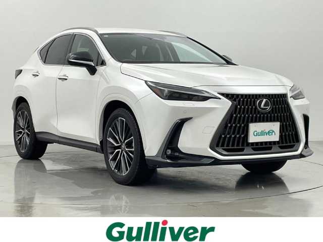 レクサス ＮＸ 250 熊本県 2023(令5)年 1.8万km ソニッククォーツ ワンオーナー　/純正ナビ　/純正前方ドライブレコーダー　/ビルトインＥＴＣ２．０　/バックカメラ　/前後クリアランスソナー　/前席パワーシート　/レーダークルーズコントロール　/パワーバックドア　/アイドリングストップ/衝突軽減ブレーキ/レーンキープアシスト/レーンデェパーチャアラート/パーキングサポートブレーキ/安心降車アシスト/ロードサインアシスト/ブラインドスポットモニター/リヤクロストラフィックアラート/プロアクティブドライビングアシスト/横滑り防止/前席パワーシート/社外フロアマット/純正２０インチAW/オートライト/オートマチックハイビーム/LEDヘッドライト/スマートキー/プッシュスタート/スペアキー1本/保証書