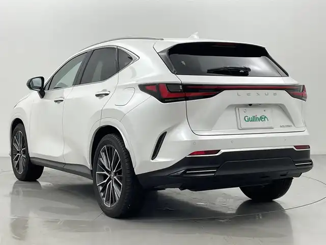 レクサス ＮＸ 250 熊本県 2023(令5)年 1.8万km ソニッククォーツ ワンオーナー　/純正ナビ　/純正前方ドライブレコーダー　/ビルトインＥＴＣ２．０　/バックカメラ　/前後クリアランスソナー　/前席パワーシート　/レーダークルーズコントロール　/パワーバックドア　/アイドリングストップ/衝突軽減ブレーキ/レーンキープアシスト/レーンデェパーチャアラート/パーキングサポートブレーキ/安心降車アシスト/ロードサインアシスト/ブラインドスポットモニター/リヤクロストラフィックアラート/プロアクティブドライビングアシスト/横滑り防止/前席パワーシート/社外フロアマット/純正２０インチAW/オートライト/オートマチックハイビーム/LEDヘッドライト/スマートキー/プッシュスタート/スペアキー1本/保証書