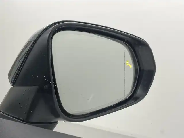 レクサス ＮＸ 250 熊本県 2023(令5)年 1.8万km ソニッククォーツ ワンオーナー　/純正ナビ　/純正前方ドライブレコーダー　/ビルトインＥＴＣ２．０　/バックカメラ　/前後クリアランスソナー　/前席パワーシート　/レーダークルーズコントロール　/パワーバックドア　/アイドリングストップ/衝突軽減ブレーキ/レーンキープアシスト/レーンデェパーチャアラート/パーキングサポートブレーキ/安心降車アシスト/ロードサインアシスト/ブラインドスポットモニター/リヤクロストラフィックアラート/プロアクティブドライビングアシスト/横滑り防止/前席パワーシート/社外フロアマット/純正２０インチAW/オートライト/オートマチックハイビーム/LEDヘッドライト/スマートキー/プッシュスタート/スペアキー1本/保証書