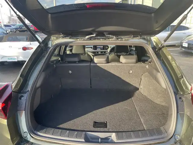 レクサス ＵＸ 250h バージョンC 長崎県 2021(令3)年 3.7万km テレーンカーキマイカM レクサスセーフティシステム/純正ナビ/（フルセグ・DVD・SD・BT・ミラキャスト・USB)/合皮レザーシート/運転席シートメモリー/パドルシフト/オートライト/LEDヘッドライト/ステアリングスイッチ/ステアリングヒーター/前席パワーシート/前席シートヒーター/ドライブレコーダー/ETC2.0/バックカメラ/レーダークルーズコントロール/レーンキープアシスト/クリアランスソナー/スペアキー