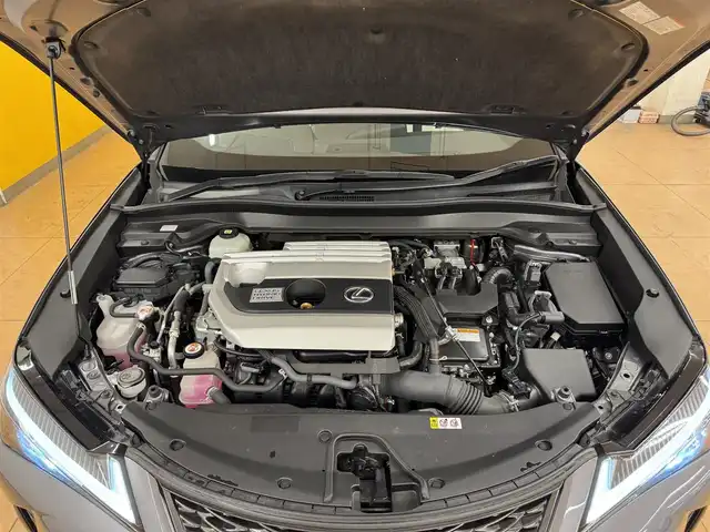 レクサス ＵＸ 250h Fスポーツ 群馬県 2020(令2)年 5.8万km マーキュリーグレーマイカ 安全装備/・衝突軽減ブレーキ/・クルーズコントロール/・クリアランスソナー/・パノラミックビューモニター/・レーンキープアシスト/・ブラインドスポット/・オートライト/・オートハイビーム/・SOSコール/・横滑り防止/メーカー純正ナビ/・AM/FM/AUX/・Bluetooth/・CD/DVD/SD/サンルーフ/パドルシフト/パワーバックドア/オートホールド/電子パーキング/シートメモリー/前席パワーシート/前席シートヒーター/ハンドルヒーター/ヒーターミラー/前後ドライブレコーダー/LEDフォグランプ/LEDヘッドライト/プッシュスタート/スマートキー