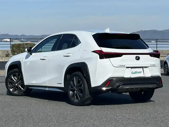 レクサス ＵＸ 250h Fスポーツ 島根県 2019(平31)年 3.2万km ホワイトノーヴァガラスフレーク 登録時走行距離　31114km/ワンオーナー/取扱説明書/純正ナビ/AM/FM/Bluetooth/CD/DVD/フルセグテレビ/バックカメラ/パドルシフト/レーダークルーズコントロール/レーンキープアシスト/ブラインドスポットモニター/パワーバックドア/電動格納ミラー/電動パーキング/ブレーキホールド/パワーシート（DN席）/メモリシート/シートヒーター（DN席）/ステアリングヒーター/純正フロアマット/プリクラッシュセーフティシステム/パーキングサポートアラート/パーキングサポートブレーキ/ETC2.0/純正アルミ１８インチ