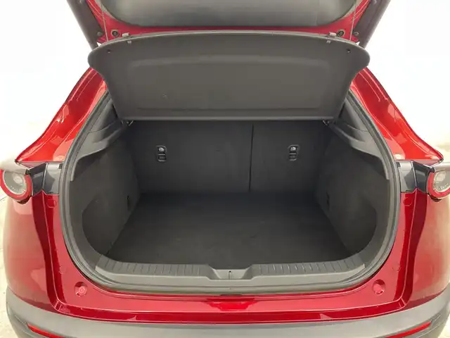 マツダ ＣＸ－３０ 20S プロアクティブツーリングセレ 群馬県 2022(令4)年 2.5万km ソウルレッドクリスタルM 純正８．８型ナビ　全周囲カメラ　アダプティブクルーズコントロール　ブラインドスポットモニター　パワーバックドア　シートヒーター　パワーシート　レーンキープアシスト　ＥＴＣ　コーナーセンサー　ＬＥＤ