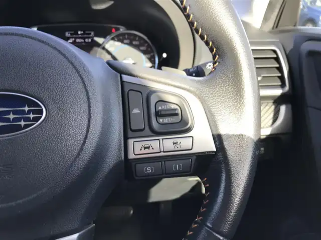 スバル フォレスター Xブレイク 鳥取県 2016(平28)年 5.9万km クリスタルホワイトP ４・W・D/純正ナビ/フルセグ/CD/DVD/BT/USB/バックカメラ/ドライブレコーダー・ETC/アドバンスドセイフティパッケージ/アイサイト/レーダークルーズコントロール/ハーフレザーシート/前後席シートヒーター/前席パワーシート/ルーフキャリア/THULE/パドルシフト/LEDヘットライト/フォグライト/純正17インチアルミホイール/プッシュエンジンスタート/スマートキー/フロアマット