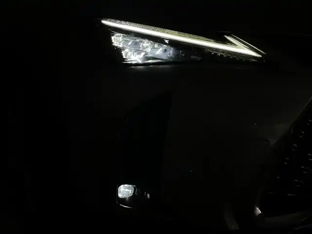 レクサス ＵＸ 250h Fスポーツ 群馬県 2021(令3)年 3.2万km ソニックチタニウム 三眼LEDヘッドライト/・アダプティブハイビームシステム/・ヘッドランプクリーナー/パノラミックビューモニター/ブラインドスポットモニター/カラーヘッドアップディスプレイ/ムーンルーフ(チルト＆アウタースライド式)/＝＝＝＝＝＝＝＝＝＝＝＝＝＝＝＝＝＝/純正10.3インチワイドディスプレイナビ/(フルセグTV/CD/DVD/AUX/USB/Bluetooth/Miracast/Apple CarPlay/Android Auto)/Lexus Safety System＋/・プリクラッシュセーフティ/・レーントレーシングアシスト/・オートマチックハイビーム/・レーダークルーズコントロール/・ロードサインアシスト/・先行車発進告知機能/パワーバックドア/ステアリングヒーター/純正ビルトインETC2.0