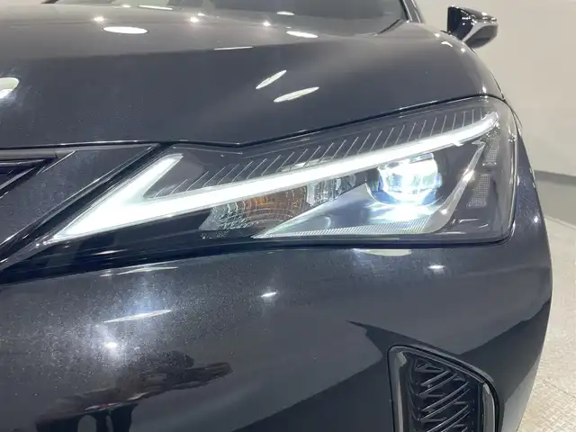 レクサス ＵＸ 250h Fスポーツ 愛知県 2019(平31)年 2.4万km グラファイトブラックガラスフレーク ・取扱説明書/・メンテナンスノート/・登録時走行距離：23185km/・装着タイヤ：TURANZA（ブリヂストン19年製）/　レクサスセーフティシステム　/・プリクラッシュセーフティ/（昼自転車運転者＆夜間歩行者検知機能付）/（対車両：自車車速域約10km/hから最高速度：最大約40km/h減速可）/（対歩行者：自車車速域約10km/hから80km/h間：最大約30km/h減速可）/・レーダークルーズコントロール/（全車速追従機能付/ブレーキ制御付）/・レーントレーシングアシスト（LTA）/（作動車速：50km/h以上時）/（ステアリング操作支援）/・ロードサインアシスト（RSA）/（道路標識認識支援）/・オートマチックハイビーム/　10.3インチメモリーナビ　/・FMAMラジオ/・CD/・DVD/・gracenote/・Bluetooth/・ハンズフリーフォン/・TV/・USB/・AUX/・バックモニター/・ETC2.0/　主要装備　/・パーキングサポートアシスト/・クリアランスソナー/・ツートンレザーシート/・パワー＆ヒーターシート/・運転席ポジションメモリーシート/・オートライト/・LEDヘッドライト/・ステアリングヒーター/・パワーバックドア/・純正アルミ18インチ