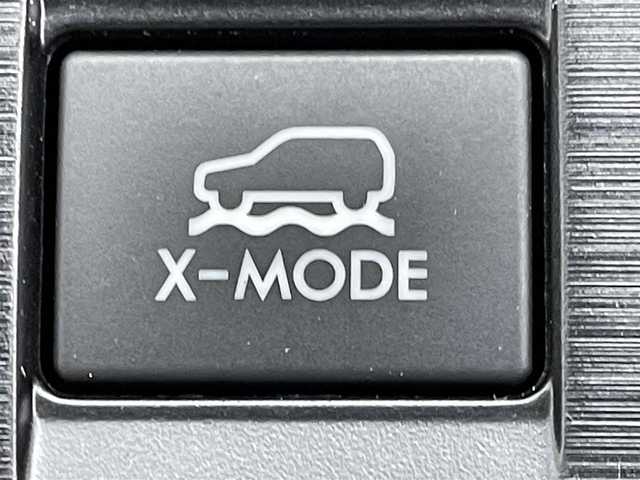 スバル アウトバック リミテッド 群馬県 2016(平28)年 3.6万km タングステンM アイサイト　ＡＣＣ　ＢＳＭ　Ｘモード　４ＷＤ　積載夏タイヤアルミセット　社ナビ　Ｂカメ　ＥＴＣ　パワーバックドア　パドルシフト　パワーシート　シートヒーター　革ステ　ステアヒーター　本革シート