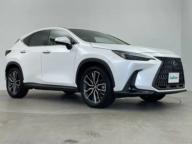 レクサス ＮＸ 250 バージョンL 鹿児島県 2022(令4)年 1.2万km ラグジュアリーホワイトパールクリスタルシャインガラスフレーク ワンオーナー/レクサスセーフティシステム+/・プリクラッシュセーフティ/・レーダークルーズコントロール/・レーントレーシングアシスト/・アダプティブハイビーム/・ロードサインアシスト/・ドライバー異常時対応システム/・プロアクティブドライビングアシスト/・ブラインドスポットモニター/・パーキングサポートブレーキ/・安心降車アシスト/・クリアランスソナー/パノラマルーフ/純正14インチディスプレイオーディオ/・ナビ機能/・フルセグTV/・USB/BT/AM.FM/・Applecarplay/Androidauto/パノラミックビューモニター/パワーバックドア/ビルトイン2.0ETC/シートヒーター/前席エアーシート/D席メモリ付パワーシート/D/N席パワーシート/ステアリングヒーター/パドルシフト/革巻きステアリング/ステアリングスイッチ/ヘッドアップディスプレイ/電動パーキングブレーキ/オートホールド/アイドリングストップ/LEDヘッドライト/フォグランプ/オートライト/純正20インチAW/プッシュスタート/スマートキー/電動格納ウィンカーミラー