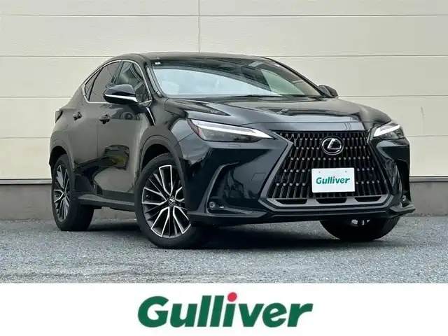 レクサス ＮＸ 250 バージョンL 茨城県 2022(令4)年 2万km グラファイトブラックガラスフレーク メーカーOPナビ/　(AM/FM/BT/フルセグ)/バックカメラ/サンルーフ/ビルドインETC2.0/パドルシフト/本革シート/パワーバックドア/シートヒーター/エアシート/レーダークルーズコントロール/クリアランスソナー/純正フロアマット/純正20インチアルミホイール/ウィンカーミラー