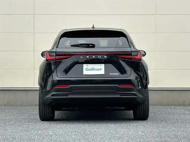 レクサス ＮＸ 250 バージョンL 茨城県 2022(令4)年 2万km グラファイトブラックガラスフレーク メーカーOPナビ/　(AM/FM/BT/フルセグ)/バックカメラ/サンルーフ/ビルドインETC2.0/パドルシフト/本革シート/パワーバックドア/シートヒーター/エアシート/レーダークルーズコントロール/クリアランスソナー/純正フロアマット/純正20インチアルミホイール/ウィンカーミラー