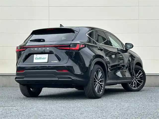 レクサス ＮＸ 250 バージョンL 茨城県 2022(令4)年 2万km グラファイトブラックガラスフレーク メーカーOPナビ/　(AM/FM/BT/フルセグ)/バックカメラ/サンルーフ/ビルドインETC2.0/パドルシフト/本革シート/パワーバックドア/シートヒーター/エアシート/レーダークルーズコントロール/クリアランスソナー/純正フロアマット/純正20インチアルミホイール/ウィンカーミラー