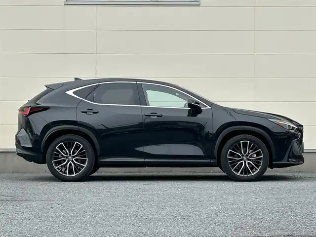 レクサス ＮＸ 250 バージョンL 茨城県 2022(令4)年 2万km グラファイトブラックガラスフレーク メーカーOPナビ/　(AM/FM/BT/フルセグ)/バックカメラ/サンルーフ/ビルドインETC2.0/パドルシフト/本革シート/パワーバックドア/シートヒーター/エアシート/レーダークルーズコントロール/クリアランスソナー/純正フロアマット/純正20インチアルミホイール/ウィンカーミラー