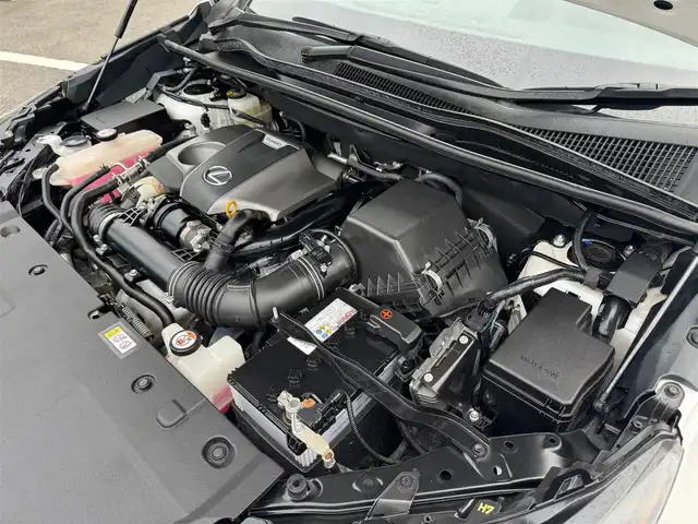 レクサス ＮＸ 300 スパイス&シック 千葉県 2021(令3)年 2.9万km ソニッククォーツ ワンオーナー/レクサスセーフティシステム/衝突軽減ブレーキ/レーダークルーズコントロール/レーンキープアシスト/純正メモリーナビ/フルセグTV/Bluetooth/バックカメラ/コーナーセンサー/黒レザーシート/シートヒーター/エアシート /LEDライト/ETC2.0/純正フロアマット/電動リアゲート/純正18インチAW/保証書・取説/スペアキー