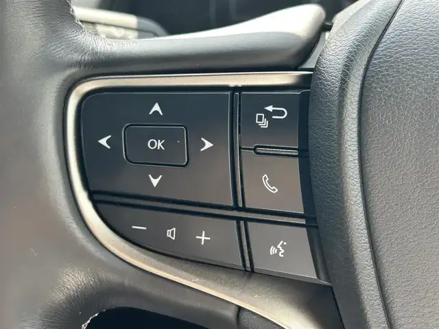 レクサス ＵＸ 250h バージョンL 愛知県 2020(令2)年 3.7万km マーキュリーグレーマイカ 純正ナビ/　（AM/FM/CD/DVD/BT）/フルセグTV/全方位カメラ/Lexus Safety System＋/・プリクラッシュセーフティ/・レーントレーシングアシスト（LTA）/・ロードサインアシスト（RSA）/ビルトインETC/レーダークルーズコントロール/D/N席シートヒーター/D/N席シートクーラー/ハンドルヒーター/ハンズフリーパワーバックドア/LEDヘッドライト/充電用USB/タイプC/スマートキー/純正フロアマット/純正アルミホイール