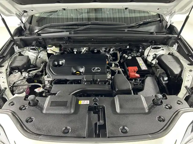 レクサス ＮＸ 250 佐賀県 2023(令5)年 1万km ソニッククォーツ ワンオーナー/禁煙車/純正9.8インチナビ/フルセグ/Bluetooth/全方位カメラ/サンルーフ/ビルトインETC2.0/ドライブレコーダー/レクサスセーフティーシステム/レーダークルーズコントロール/コーナーセンサー/BSM/ヘッドアップディスプレイ/電動リアゲート/運転席・助手席パワーシート/パドルシフト/純正フロアマット/純正18インチアルミホイール