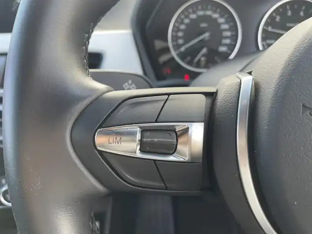 ＢＭＷ Ｘ１ 熊本県 2016(平28)年 0.9万km アルピンホワイトⅢ 純正ナビ/・AM/FM/BT/USB/CD/DVD/バックカメラ/アイドリングストップ/クルーズコントロール/オートマチックハイビーム/前後コーナーセンサー/革巻きステアリング/・ステアリングリモコン/オートライト/・LEDライト/・フォグランプ/ミラー一体型ETC/電動格納ミラー/・ウィンカーミラー/電動リアゲート/電動サイドブレーキ/・ホールドボタン/スマートキー/・スペアキー